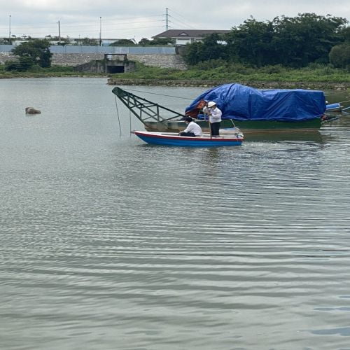 Thi công xử lý bùn thải